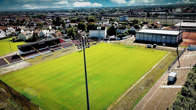 入制胜球 入制胜球