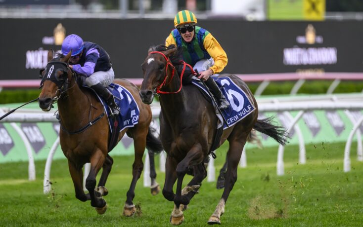 即可同時涉 即可同時涉